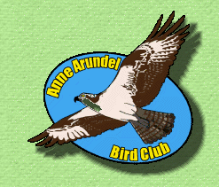 Anne Arundel Bird Club