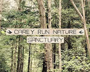 Carey Run Sanctuary - Maryland Ornithological Society
