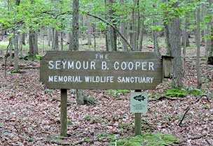 Seymour B. Cooper Sanctuary - Maryland Ornithological Society - Maryland Ornithological Society