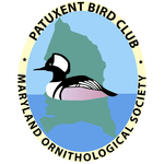 Patuxent Bird Club Logo